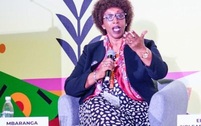 Cross-border cooperation key to conflict resolution in Africa, say experts.